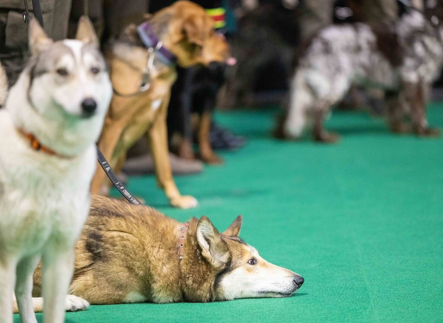 HUNT EXPO 2023 16.jpg [214.23 KB]